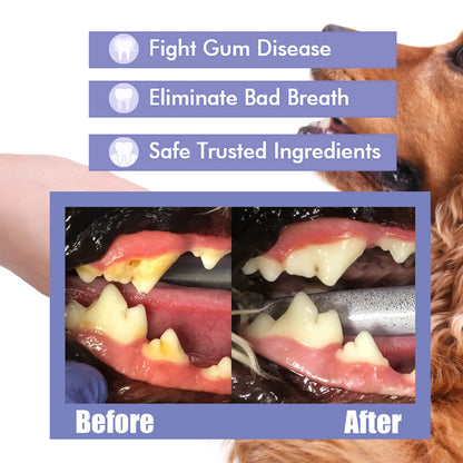 Pet oral cleaning spray for dogs and cats - image 5