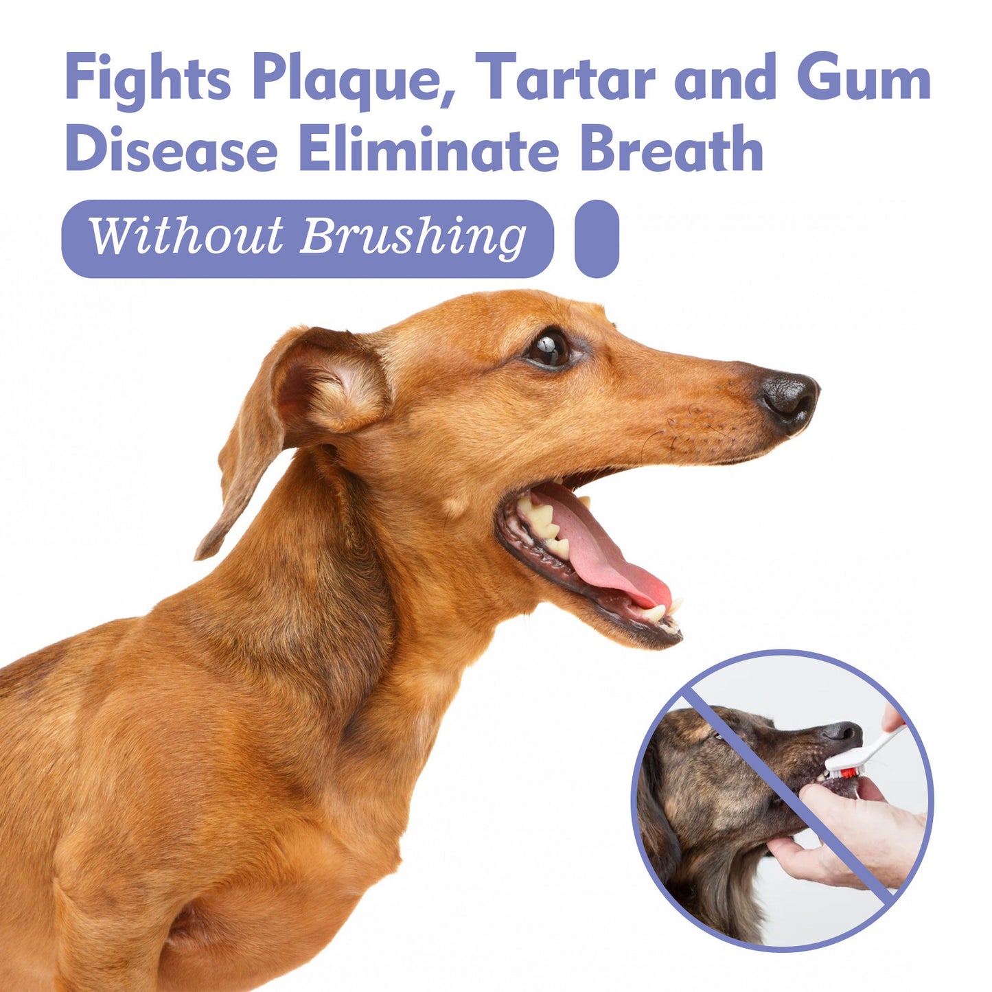 Pet oral cleaning spray for dogs and cats - image 4